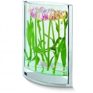 Oferta Wazon (30 cm) Decade Philippi