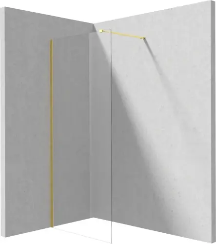 Nowość Deante Ścianka prysznicowa walk-in 120 cm Prizma KTJ_Z32P